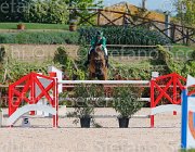 GOVONI WINN WINN CampITA2013- S5 8997 : Campionati Italiani 2013, Cattolica, GOVONI GIANNI, Horse Riviera Resort, WINN WINN, foto di Stefano Secchi ©